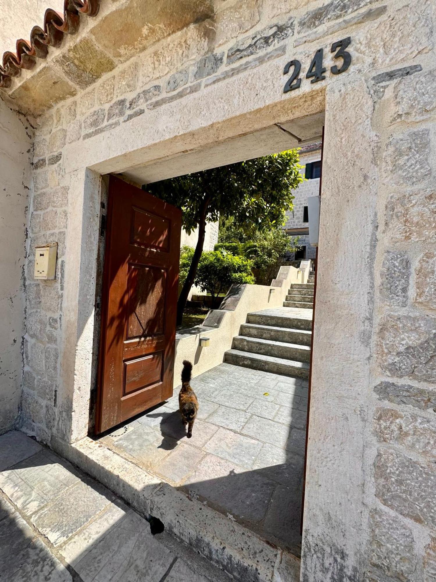Apartments Radonicic Kotor Bagian luar foto