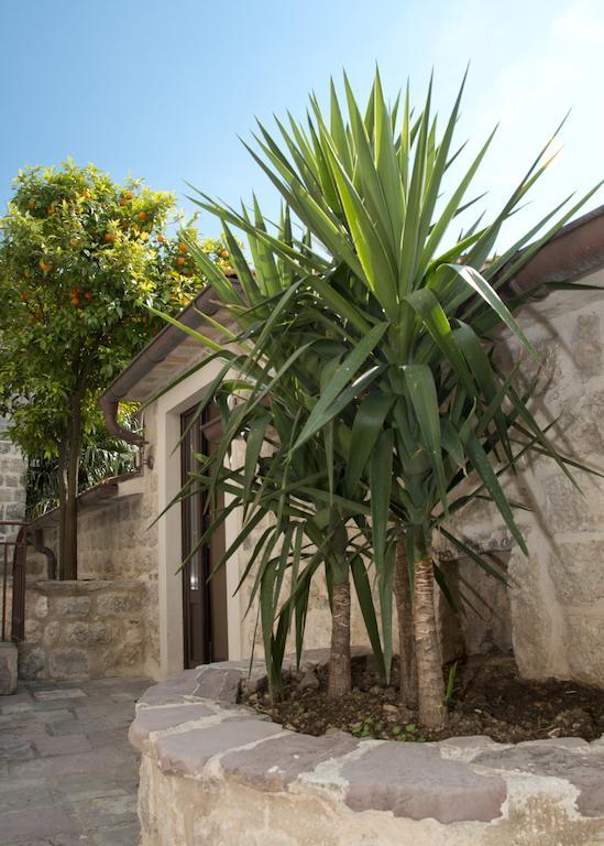 Apartments Radonicic Kotor Bagian luar foto